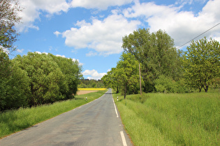 Hilskamm/Jägerlinde, Südrampe, unterer Bereich