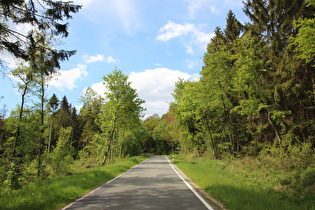 oberhalb der Kehre, Blick bergauf