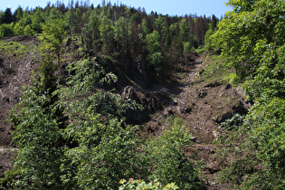 sich neu bildende Murstriche im Harz