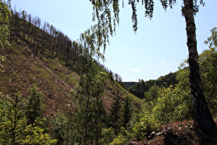 Blick zur Hauptstaumauer der Okertalsperre