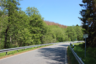 L504 auf 500 m ü.NHN, Blick bergauf