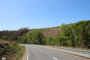 waldfreier Blick nach Westen