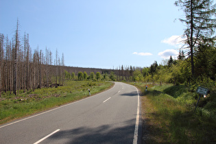 L504 auf 600 m ü.NHN, Blick bergauf