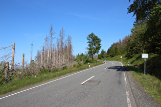 L504 auf 700 m ü.NHN, Blick bergauf