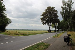 bei Gut Wilhelmsburg, Blick zur Paderborner Hochfläche