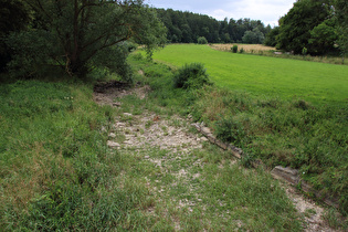 die Alme in Niederntudorf, Blick flussaufwärts …