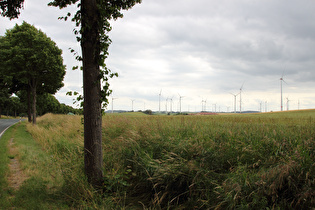 Südrand von Bleiwäsche, Blick nach Süden …