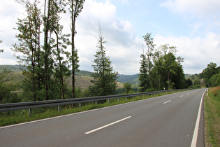 Blick über das Hoppecketal Richtung Brilon Wald