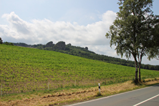 Blick auf die Bruchhauser Steine