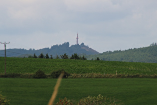 Zoom auf den Stüppel mit dem Stüppelturm