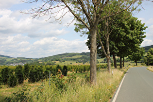 … und Blick nach Nordosten auf Assinghausen und Bruchhauser Steine