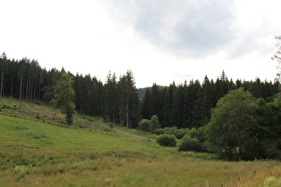 noch weiter oben, Blick ins Negertal talaufwärts …