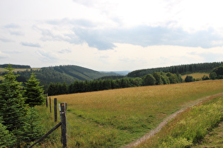 Blick über das Nesselbachtal nach Südwesten