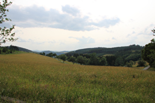 wenig weiter, Blick ins Nesselbachtal