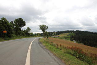 Ostrand von Altastenberg, Blick zum Kahlen Asten