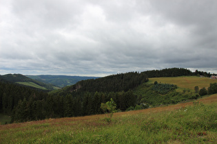 wenig weiter, Blick über das Schwarze Siepental nach Südwesten …