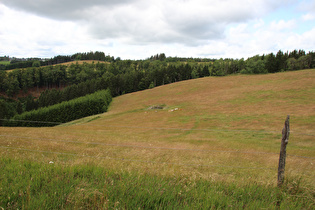 … und Blick auf eine in den Zwistgraben entwässernde Quelle