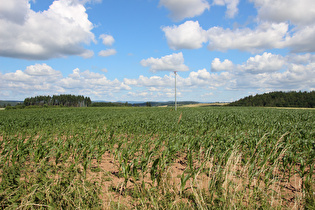 Blick nach Norden