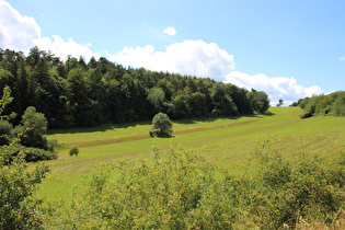 im Wesebachtal, Blick talaufwärts