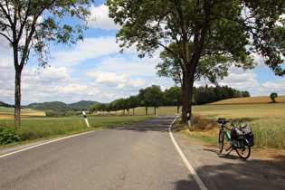 sechster Sattelpunkt der Etappe, Immelberg; Blick nach Osten …