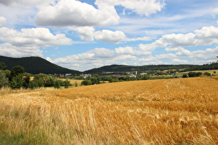 Ostrand von Albertshausen, Blick auf Reinhardshausen