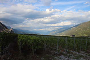 zwischen Saint-Pierre-de-Clages und Chamoson, Blick ins Vallée du Rhône talaufwärts