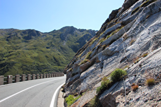 Südrampe im Bereich der montanen Baumgrenze