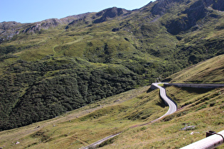 Blick über eine Kehre auf die montane Baumgrenze …