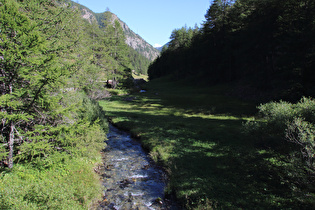 der Torrent du Grand Saint-Bernard, Blick flussabwärts …