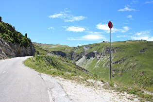 an der montanen Baumgrenze, Blick bergauf, …