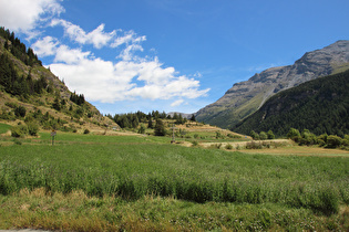 weiter unten, Blick talaufwärts auf Teile der Westrampe