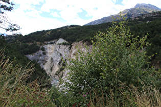 weiter unten, Blick talabwärts auf den Arc in der Schlucht