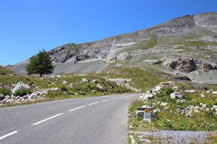 an der montanen Baumgrenze, Blick bergauf