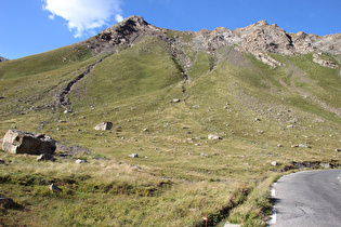 Lebensraum des Alpenmurmeltiers