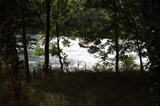 Stromschnelle der Isère in der Cluse de Voreppe