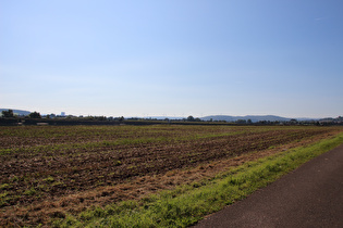 Weserradweg südlich von Hameln, Blick nach Süden …