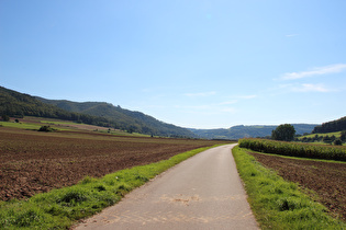 zwischen Bodenwerder und Rühle, Blick zur Rühler Schweiz …