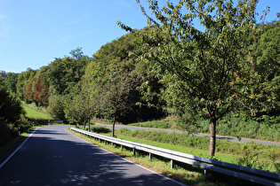 oberhalb der zweituntersten Kehre, Blick in die Kehre