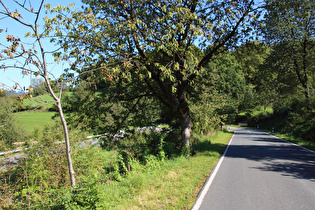 oberhalb der obersten Kehre, Blick in die Kehre …