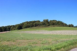 Blick zum Hangberg