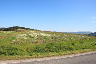 … und Blick zum Große25.03n Schweineberg und zum Holzberg am Horizont