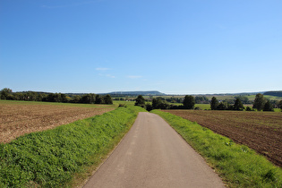 … Blick über Negenborn zum Holzberg …