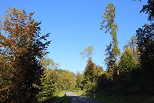 im Hooptal, Blick talaufwärts