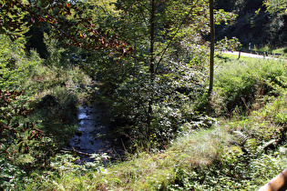 der Forstbach weiter oben, Blick flussaufwärts