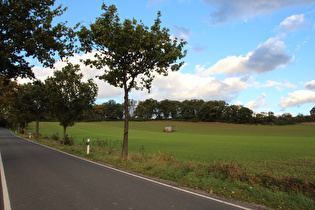 zwischen Passhöhe und Stemmen, Blick bergauf