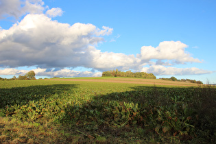 weiter südlich, Blick zum Stemmer Berg …