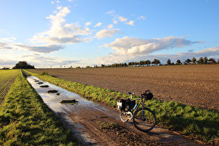 Blick zurück zur Hecke, …