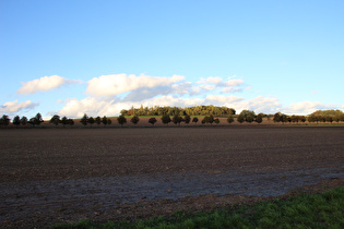 … Blick zum Stemmer Berg …