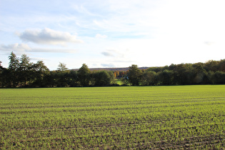 westlich von Wennigsen, Blick auf Waldkater