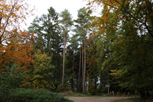 Geländepunkt Feldberg